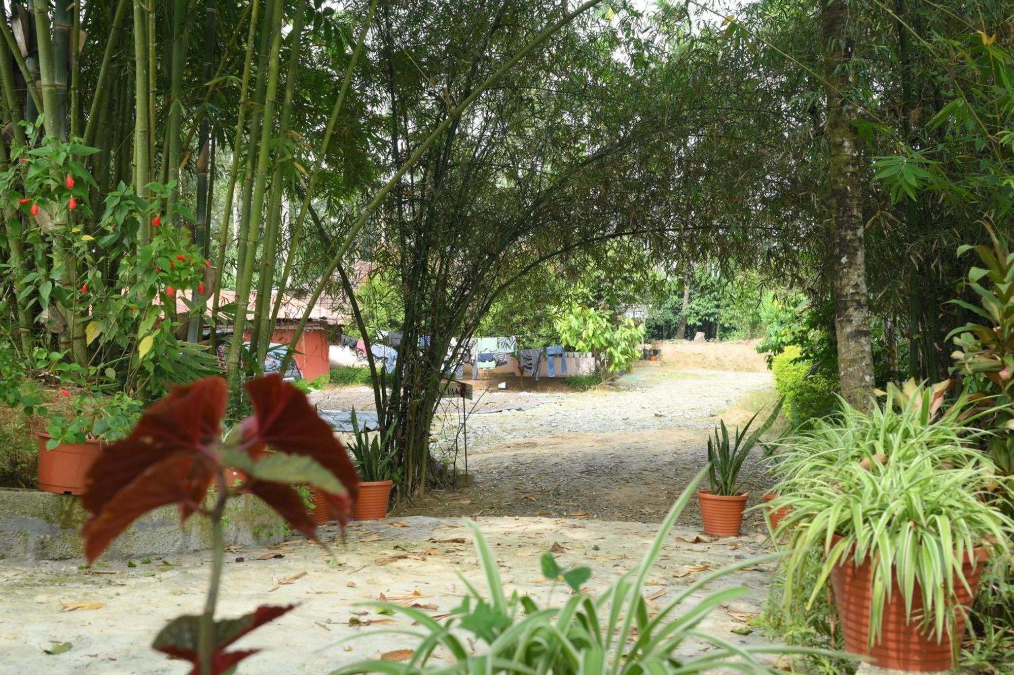 Coffee Island Resort Kaniyāmbetta Exteriör bild