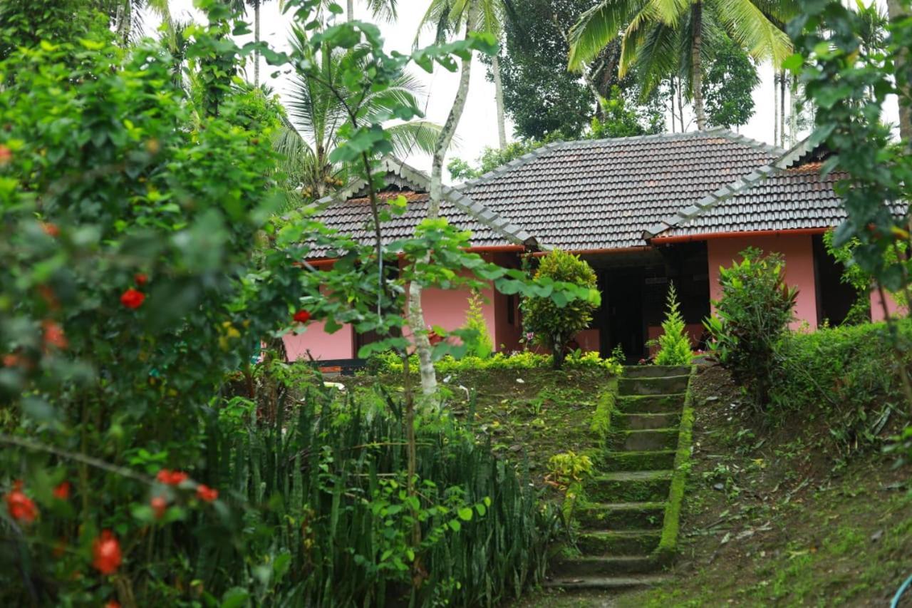 Coffee Island Resort Kaniyāmbetta Exteriör bild